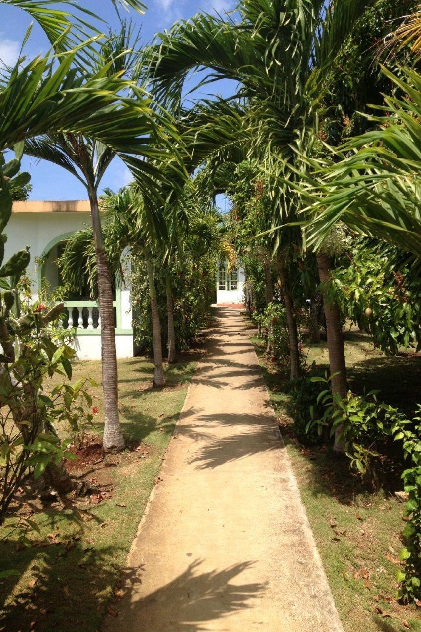 Hidden Paradise Resort Hotel Negril Esterno foto